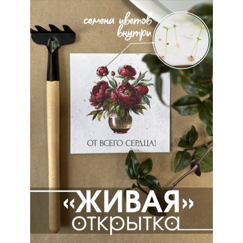 ������ ������ 