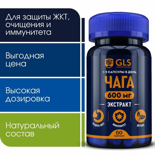 ������ ������ ���� �������� � ����-���������, ���� / �������� ��� ���, ��������� � �������, 60 ������ ����