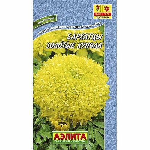 ������ ������ ������ �������� ������� ������ ����������, (������) 0,2� ����