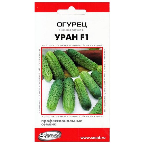 ������ ������ ������ ���� F1, 6 ����� ����