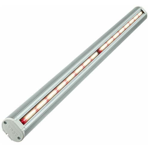 ������ ������ ������� ������������ �������������� 