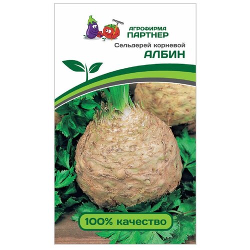 ������ ������ ������� ��������� 