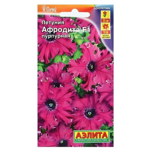 ������ ������ ������ ������� �������� F1 ��������� ��������������� �����������, 10 �� ����