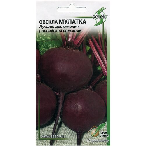 ������ ������ ������ �������, 120 ����� ����