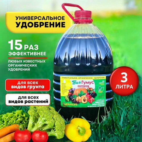 ������ ������ ��������� ������������ �������� ������ ���������� 3� ����