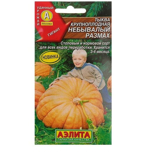 ������ ������ ��������� ������ ������ ����� ������������� 