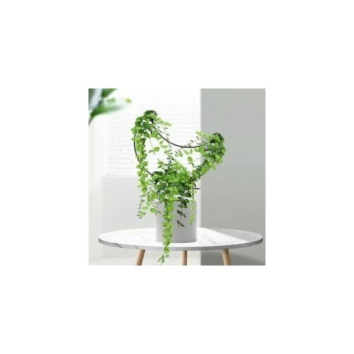 ������ ������ ������������� ��������� ��� �������� 