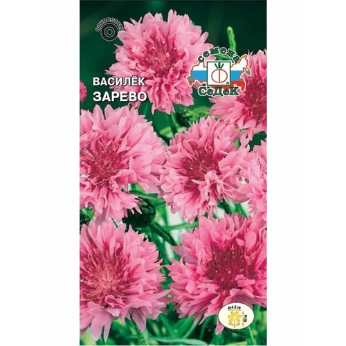 ������ ������ ������� 