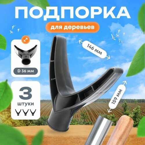 ������ ������ �������� ��� �������� 