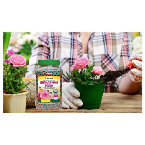 ������ ������ ����������� ����������� ��������� ��������� �������� ����, 1,2�� ����