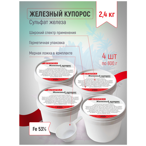 ������ ������ �������� ������� 2,4�� ����