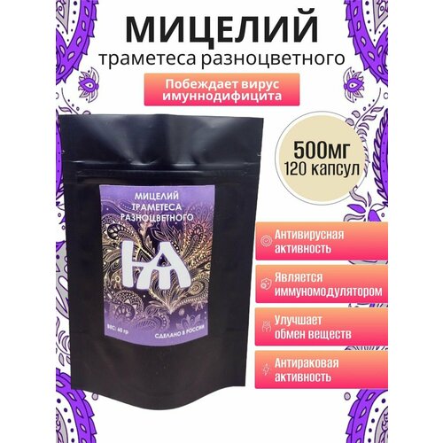 ������ ������ �������� ���� ������� � �������� 120 �� �� 500 �� ����