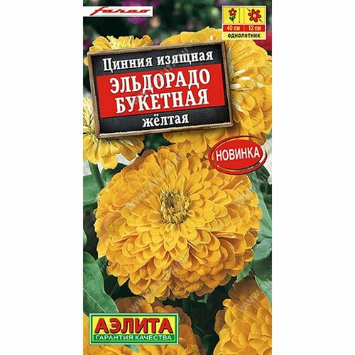 ������ ������ ������ ������ ��������� �������� ������, ����������, (������) 12�� ����