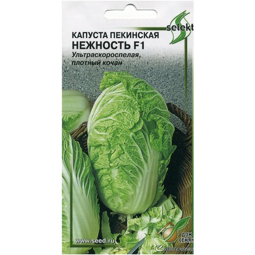 ������ ������ ������� ��������� �������� F1, 90 ����� ����