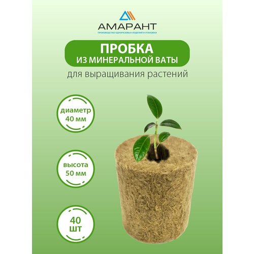 ������ ������ ������ ��� ������� �� ����������� ����, 40 �� ����