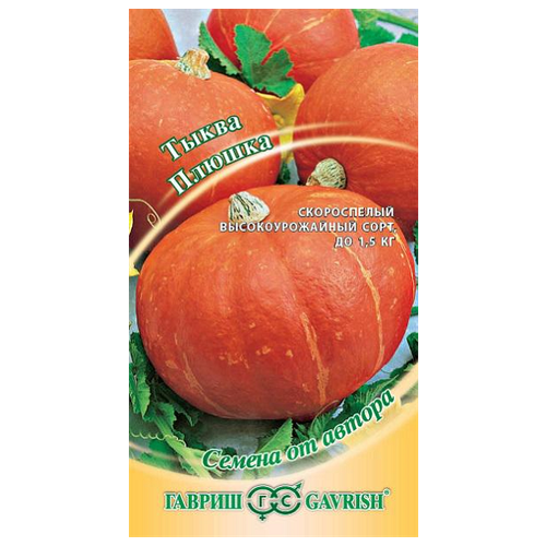 ������ ������ ����� ������, 2 � ����