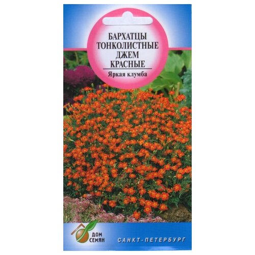 ������ ������ �������� (������� �����������) ������������ ���� �������, 90 ����� ����