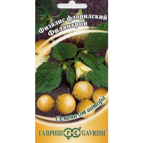 ������ ������ ������ ������� ��������� 20�� ������ (������) ����� ����