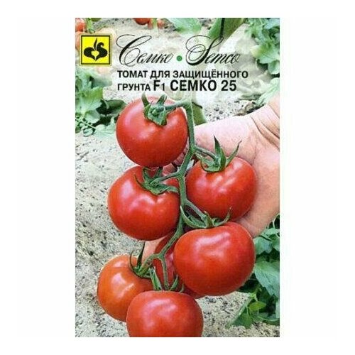 ������ ������ ������ ����� ����� 25 F1 5�� ����� ������ (�����) ����