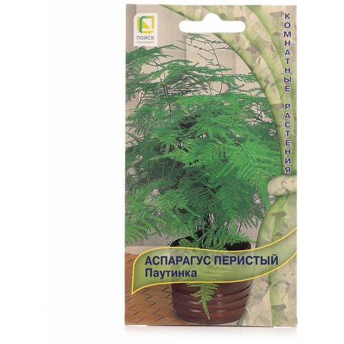 ������ ������ ��������� �������� �������� ����