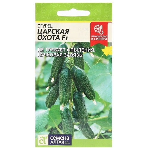 ������ ������ ������ ������ 