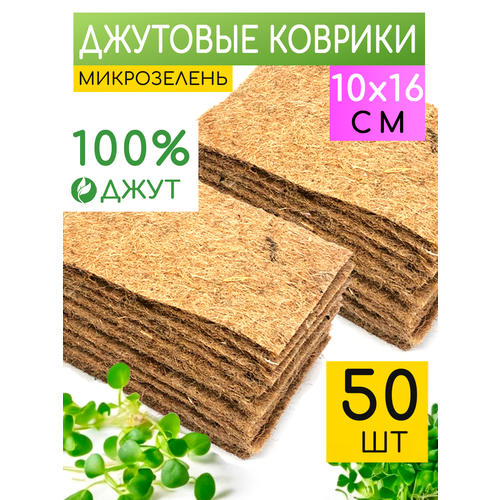 ������ ������ �������� ������ ��� ������������ �����������, ����������� ����