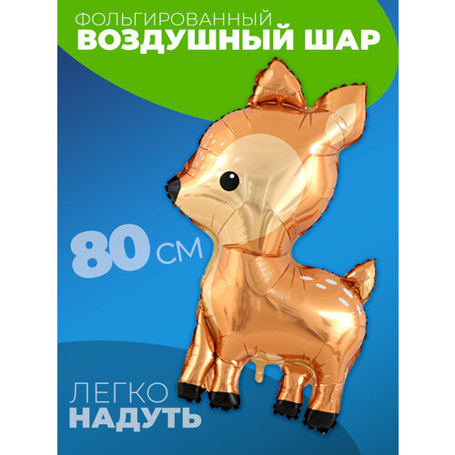 ������ ������ ��� �������� ����