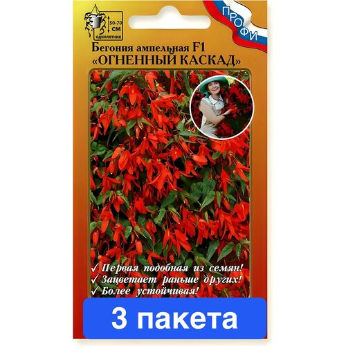 ������ ������ ����� ������� �������� ������ F1 ��������� 3 ������ ����