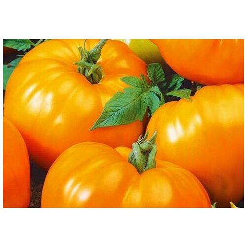 ������ ������ ������ ����� ��������� ��������� 0.1� ����� ������ (��������� ������) ����