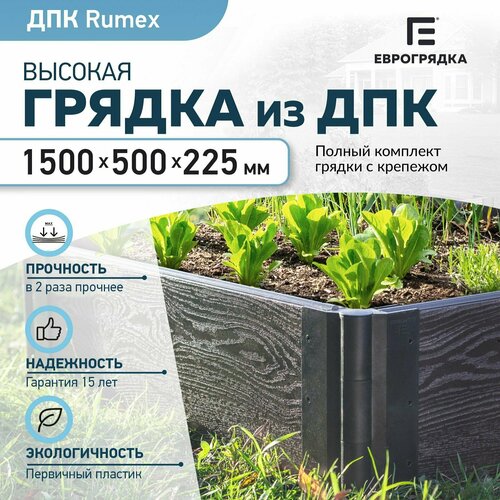 ������ ������ ������ �� ��� 1.5 � x 0.5 �, (����� Rumex: 225�30 ��, ����: �����) ����