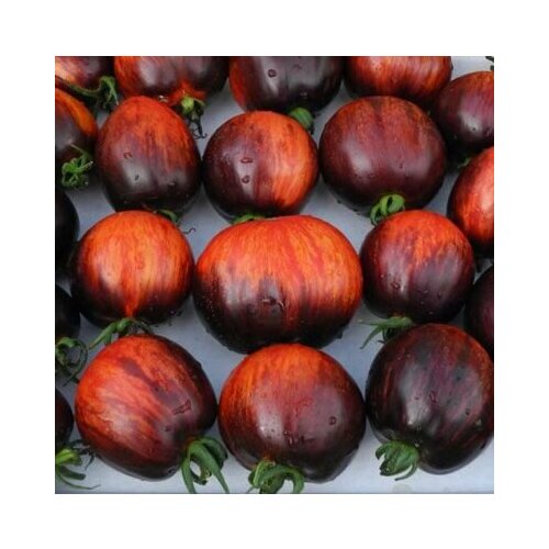 ������ ������ ������������� ������ ������ ��������� ����