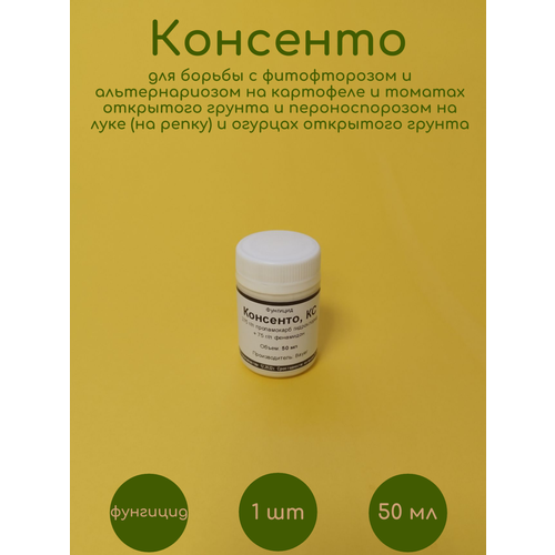 ������ ������ �������� �������� 50 �� �� �������� �������� ����