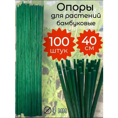 ������ ������ ������� ���������� ����� ��� ��������, ������ � �������, ����������� ����� 40 �� 100 ����, ������� ������� ������� 4 �� ����