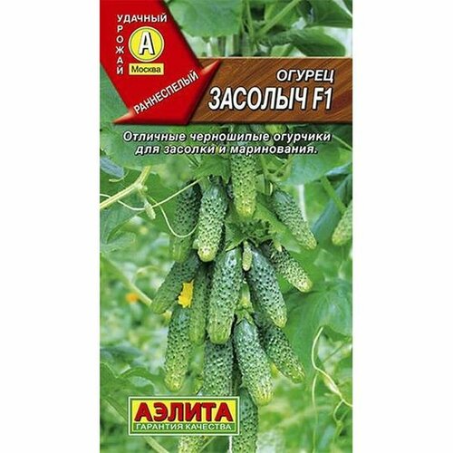 ������ ������ ������ ������ ������� F1 (������������������) (������) 10�� ����