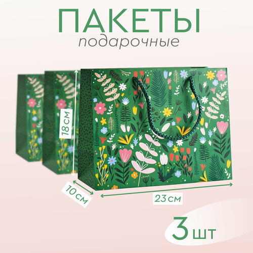 ������ ������ ����� ������� ���������� �������� 3 �� ����