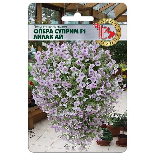 ������ ������ ������ ������� ��������� 