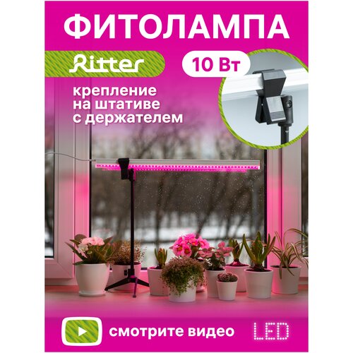         Ritter 56302 0, 10, 5722132. C 5 LED ,  , .  ,  2.   -     , -,   