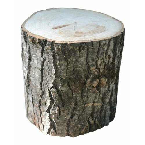 ������ ������ ����� �������� 50�� ����