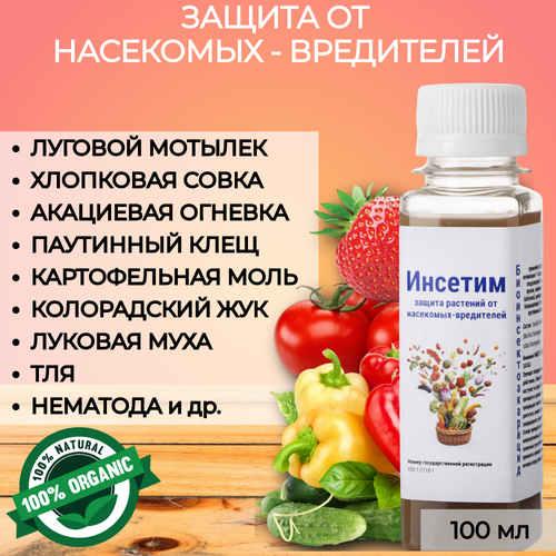 ������ ������ �������� ��� ������ �� ���������� �������� ������� �. 100 �� ����