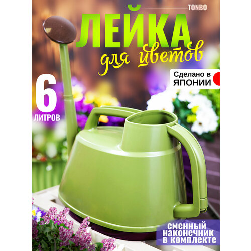 ������ ������ ����� ��� ������ ������� 6�, 36*19*25,5 �� ����