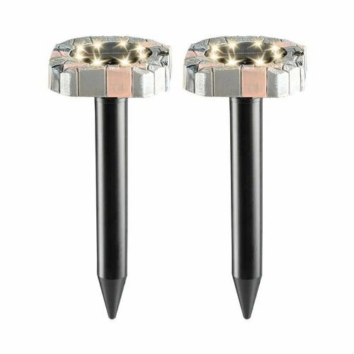 ������ ������ ������������ ������ �� ��������� ������� � LED ���������� ������������, 2 �� ����