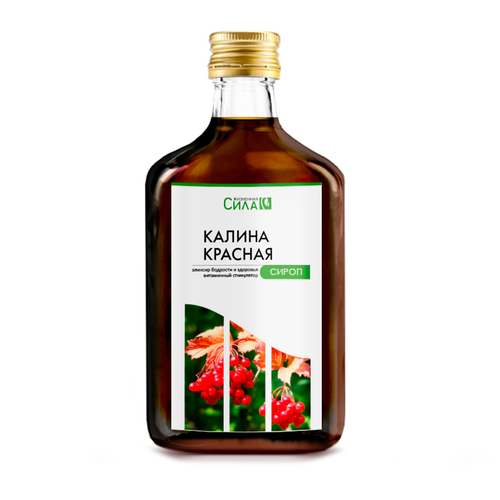 ������ ������ �������� ������ ������� ����