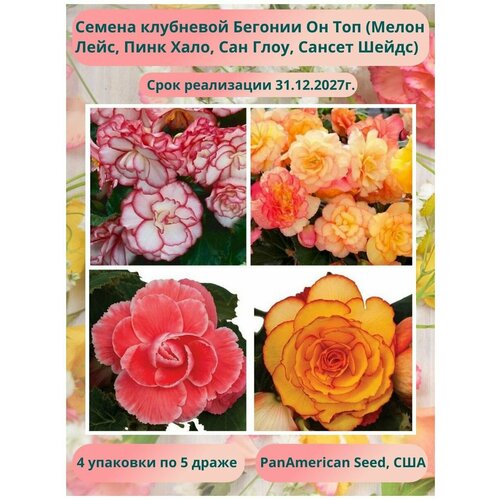 ������ ������ ������� ��������� �� ��� 4 �������� �� �����: ����� ����, ���� ����, ��� ����, ������ �����, PanAmericanSeed, ��� ����