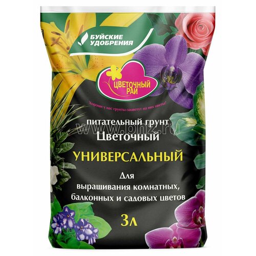 ������ ������ ����� ����������� ������������� ��� ������ 3� ����