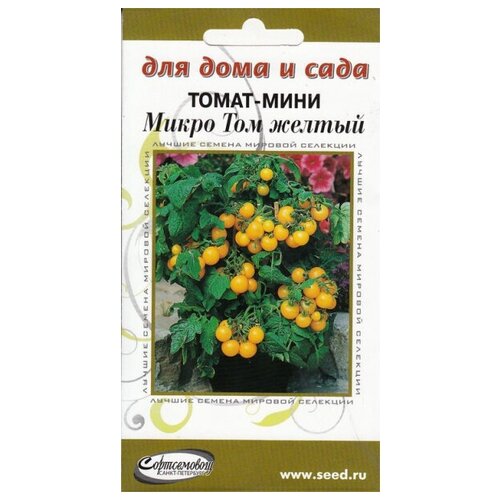 ������ ������ ����� ���� ����� ��� �����, 15 ����� ����