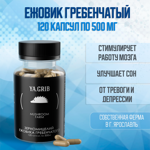 ������ ������ ������� �����. YA.GRIB. ������ ����������� (������ �����������). ���� �������. �������. �������� ���� 120 ������ �� 500 �� ����