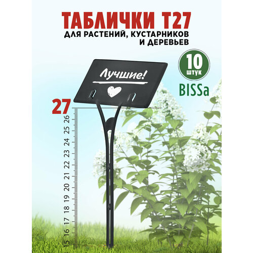 ������ ������ ������� �������� ��� ��������, Bissa �27, ������, 10 �� ����