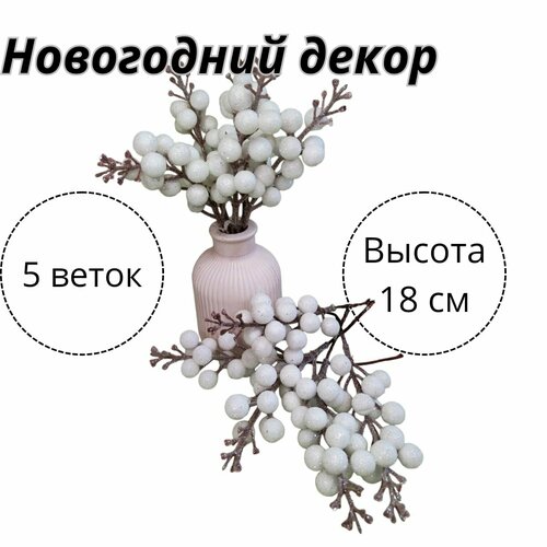 ������ ������ ���������� �����, ������ �������, ����� �� 5 �������. (�����) ����