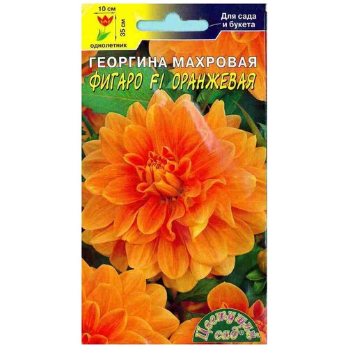 ������ ������ ������ �������� ��� 