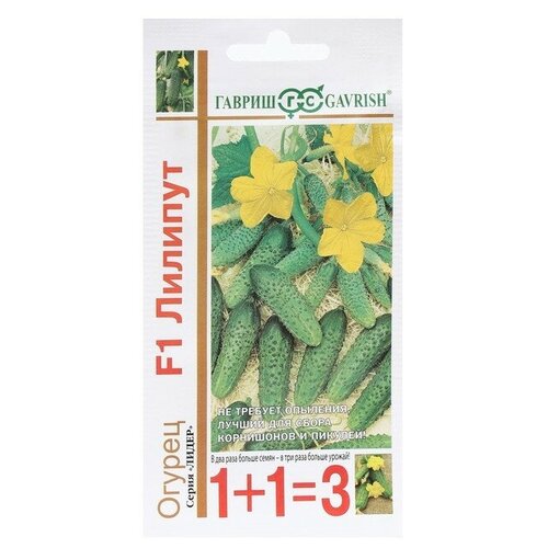 ������ ������ ������ �������� 9469099 ������ 